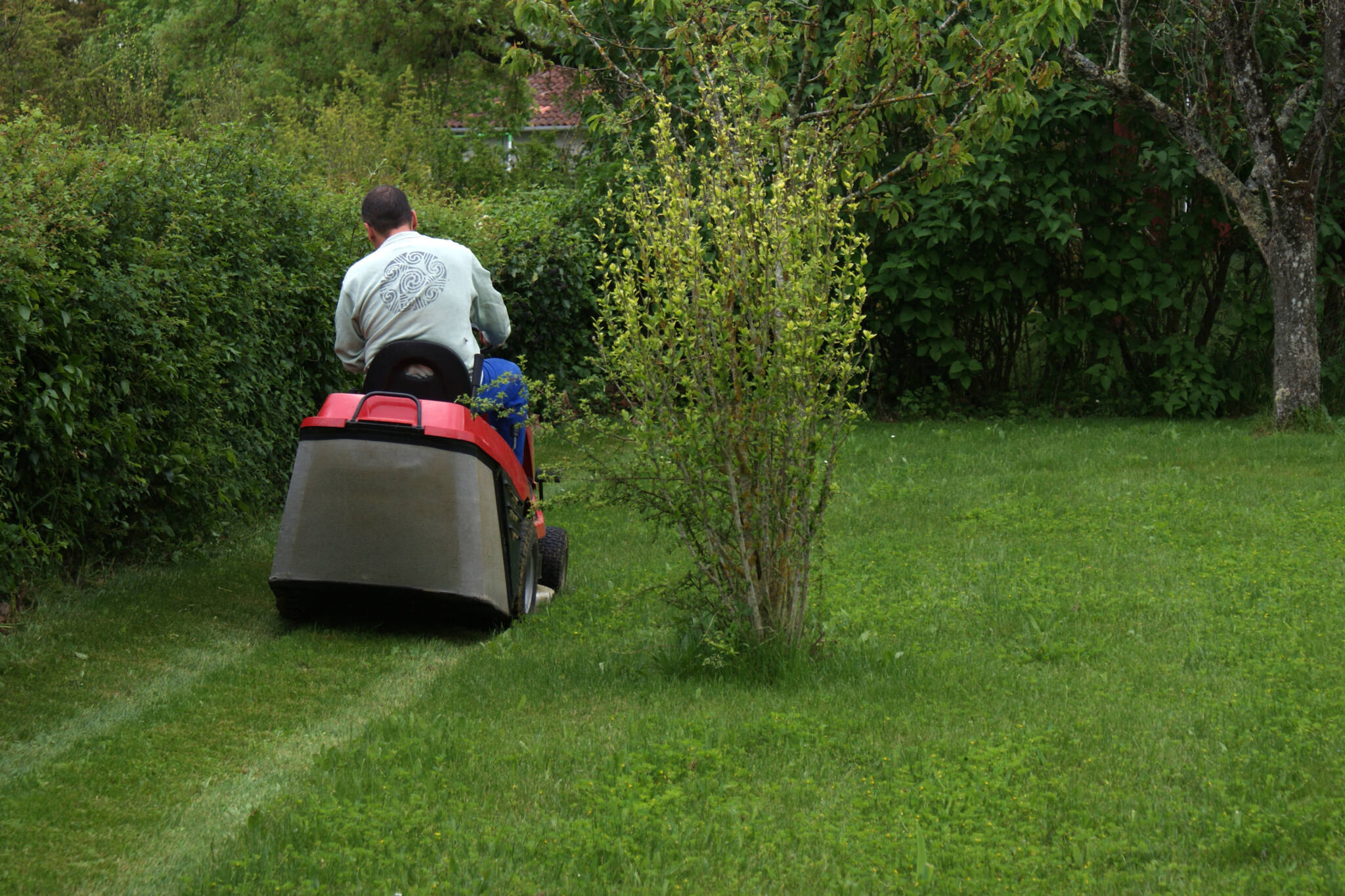 Entretien jardin en Indre-et-Loire